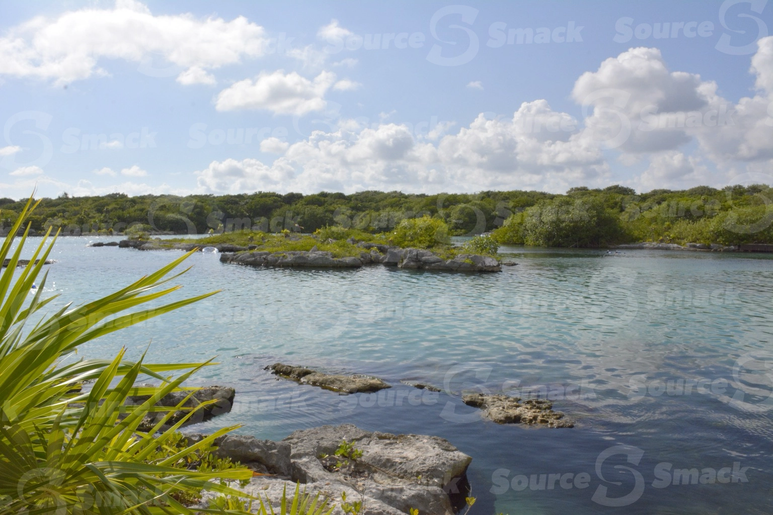 Xel-Ha Park ocean cove with vegetation in Mexico