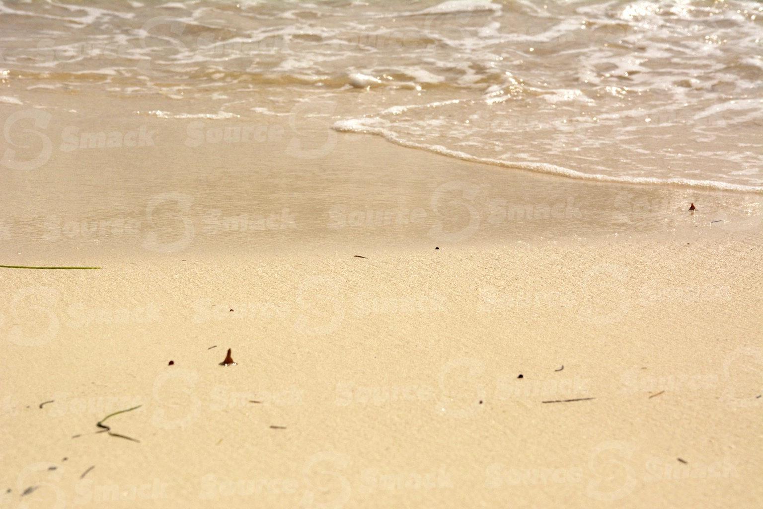 Ocean waves on beach shore in Mexico