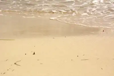 Ocean waves on beach shore in Mexico