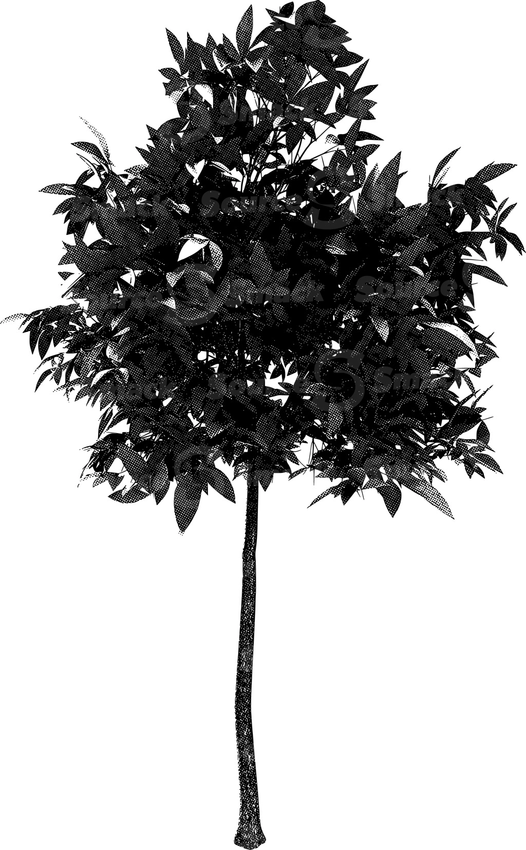 A halftone effect applied to a bushy coniferous tree