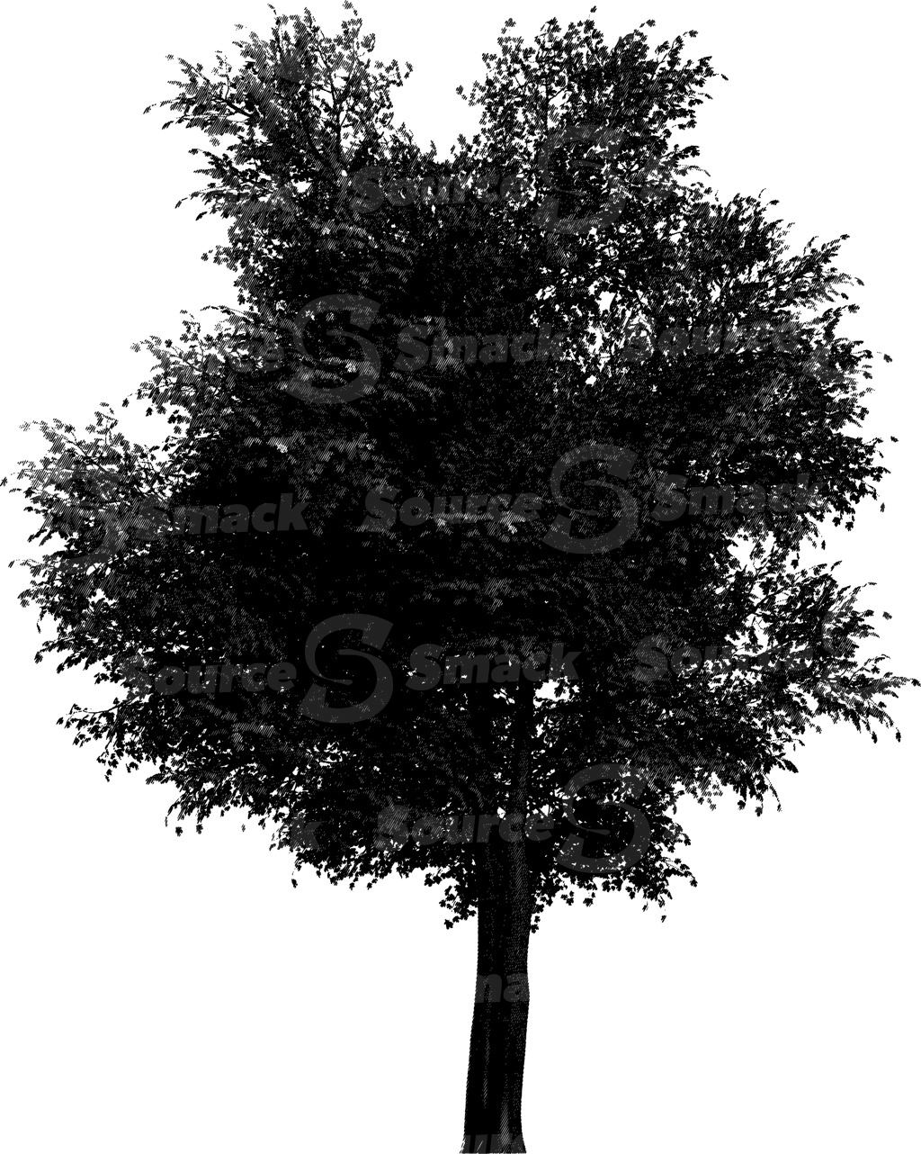A halftone effect applied to a bushy coniferous tree