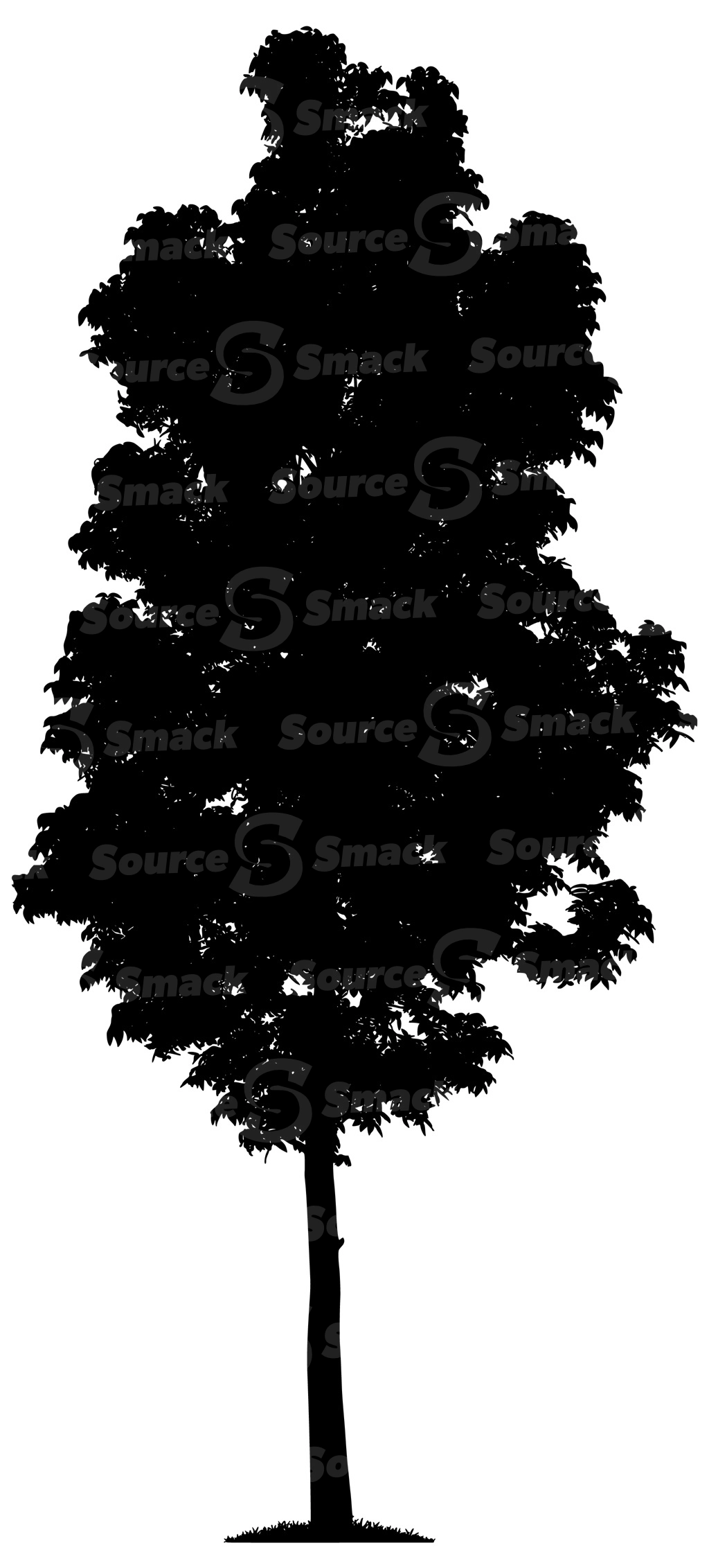A vector silhouette of a coniferous tree