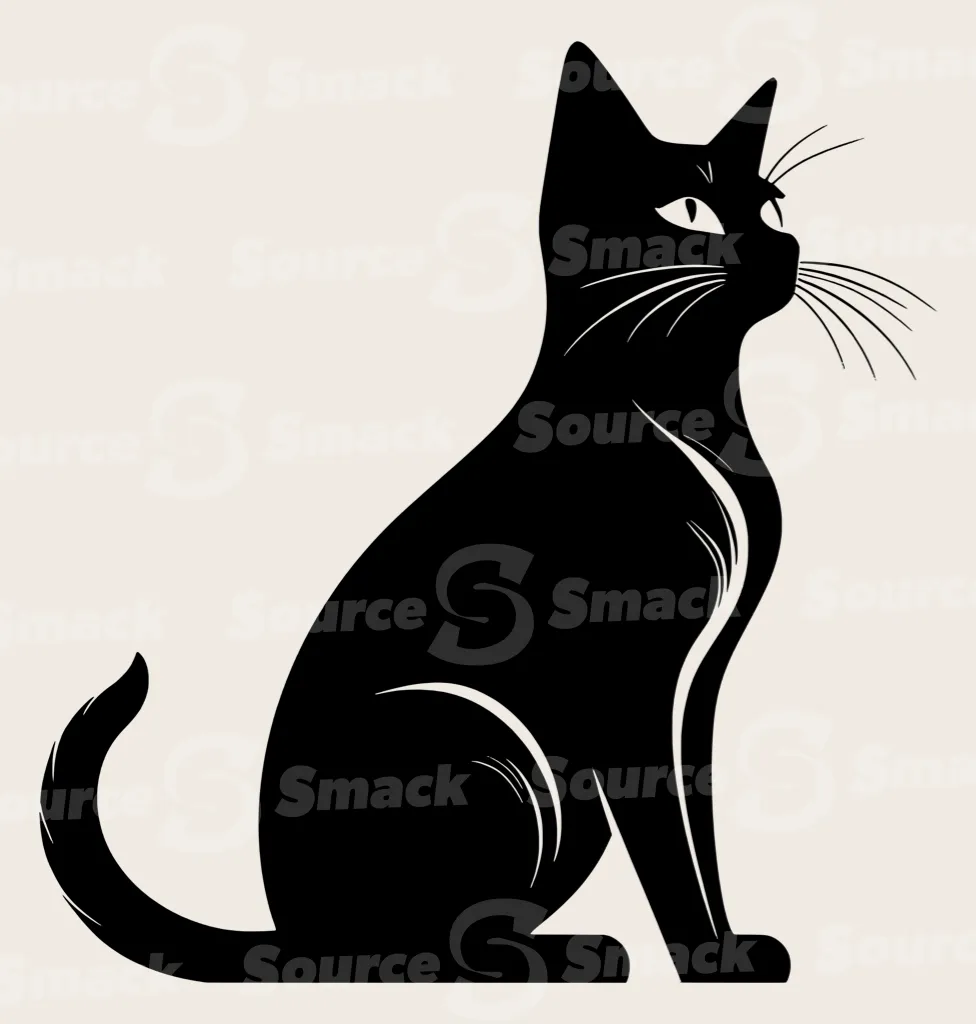 A full body shot of a cat sitting upright.