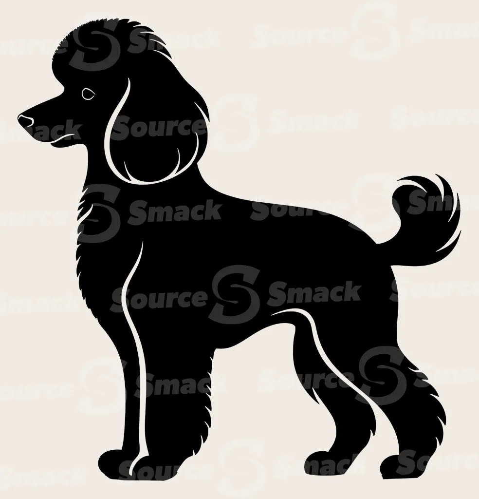 Full body shot of a Poodle dog.