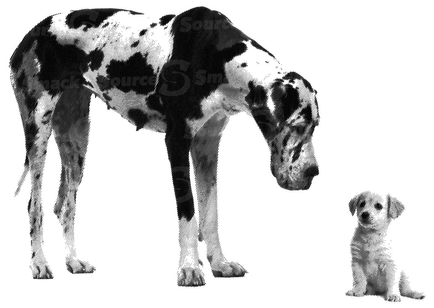 Halftone of one large dog looking at a small dog