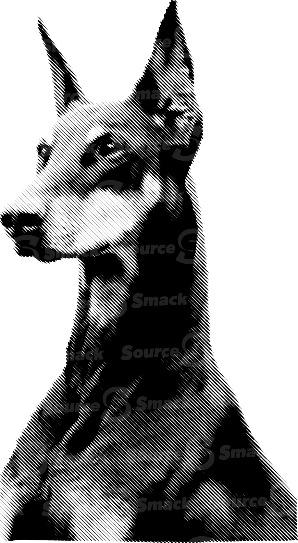 A doberman pinscher standing tall and rigid