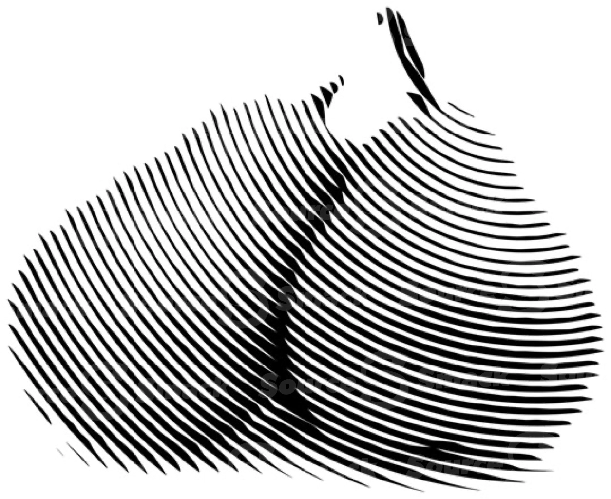 Two pear fruits  (Vectors include a hires PDF, a RGB file format as well as a high resolution transparent PNG file-all compressed in a single zip file)