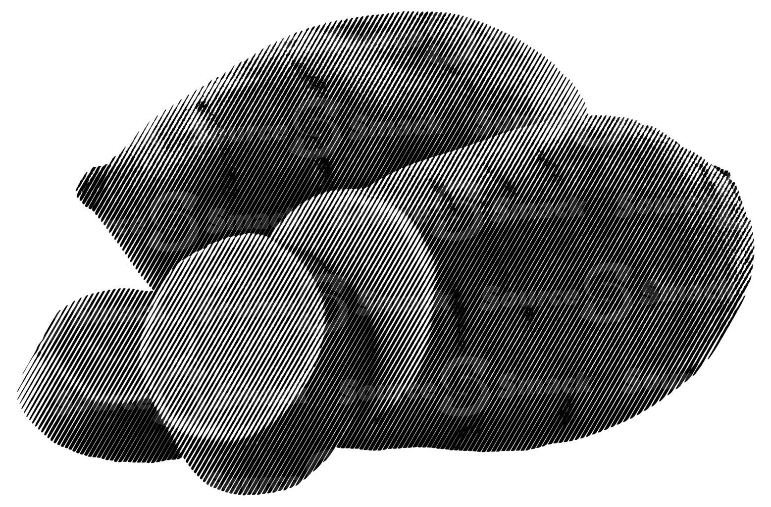 Vector halftone line illustration of a group of yams