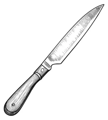 A kitchen knife utensil