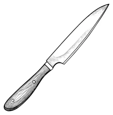 A kitchen knife utensil