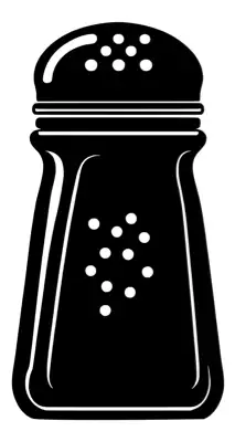 Salt and pepper shaker