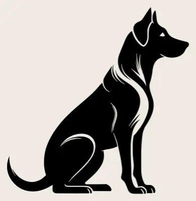 Full body shot of a german shepherd.