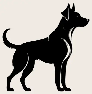 Full body shot of a dog.