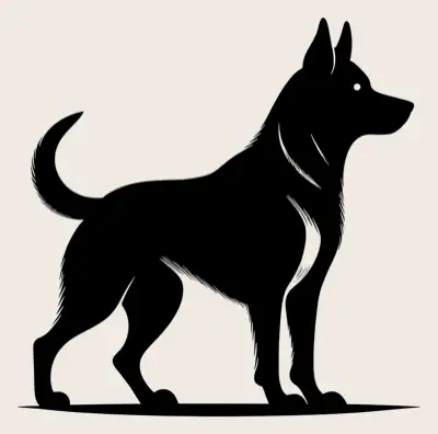 Full body shot of a Siberian Husky dog.